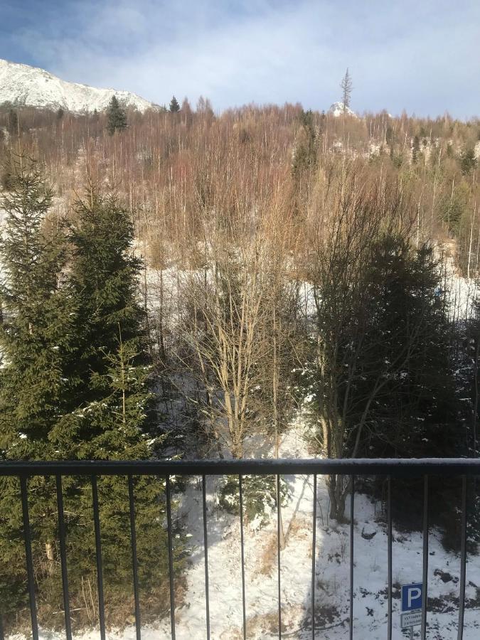 Apartmany Vila Vlasta Vysoké Tatry Exterior foto
