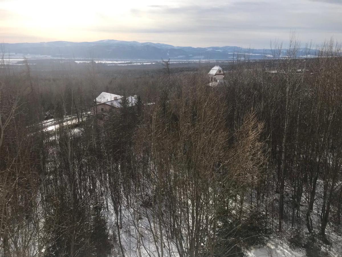 Apartmany Vila Vlasta Vysoké Tatry Exterior foto